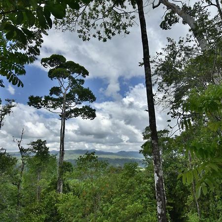 埃雷拉公寓 Puerto Jiménez 外观 照片