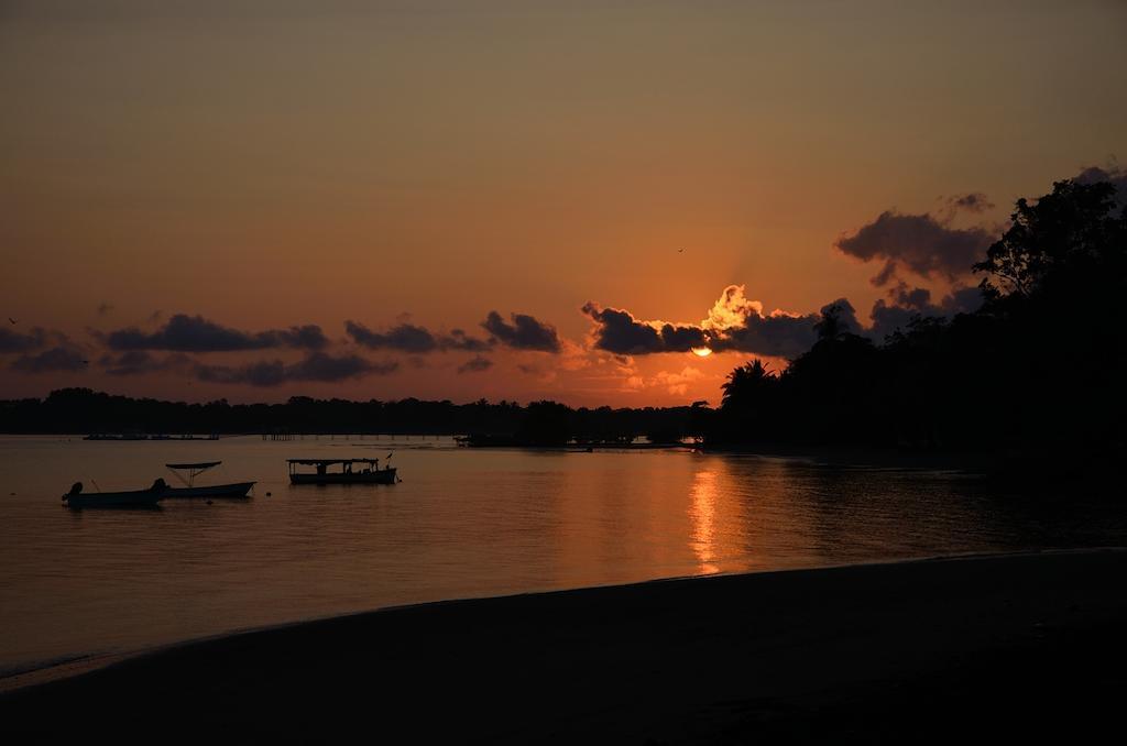 埃雷拉公寓 Puerto Jiménez 客房 照片