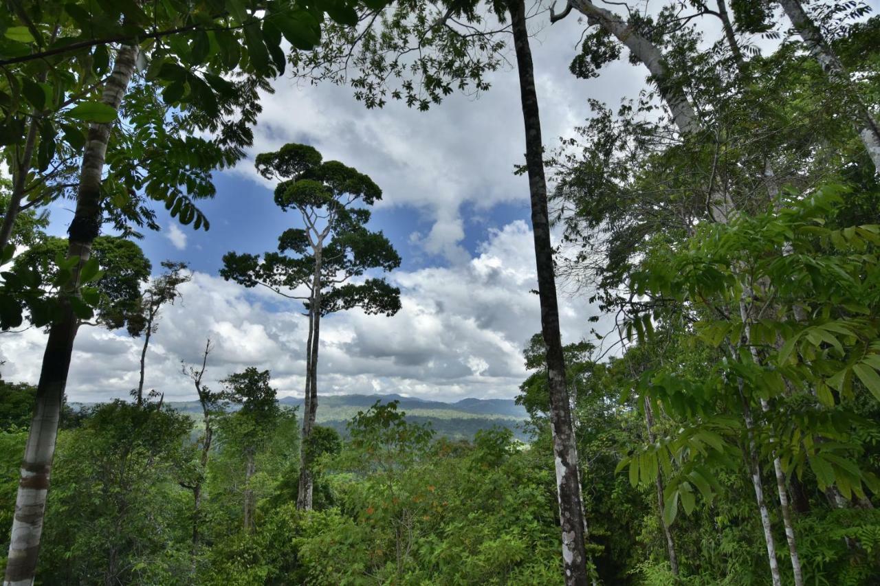 埃雷拉公寓 Puerto Jiménez 外观 照片